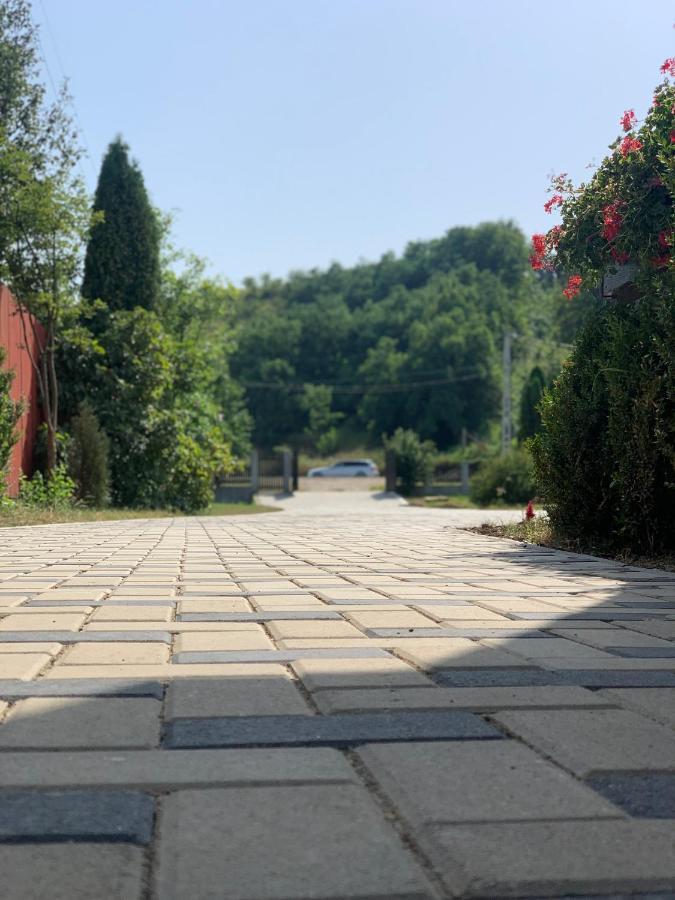 Pensiunea Romana Онешти Экстерьер фото